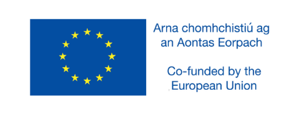 Co-funded by the European Union