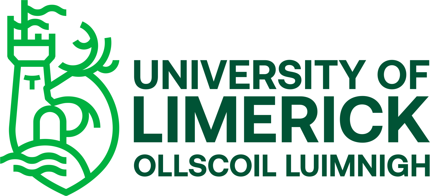 University Of Limerick