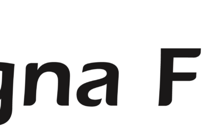 Arigna Fuels